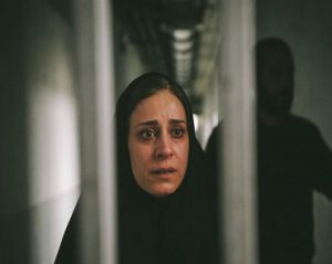 حضور فیلم قصیده گاو سفید در جشنواره بوسان